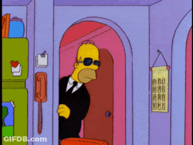 Homer Simpson The Simpsons GIF