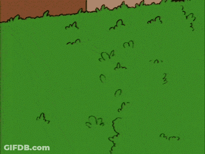 Homer Simpson Whats Going On GIF