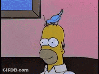 Homer Simpson With Blue Bird On Head GIF