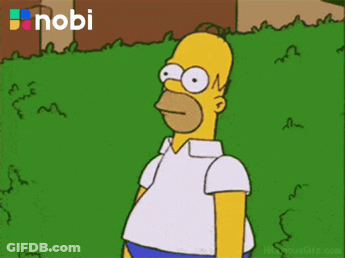 Homer Simpson With Nobi Logo GIF