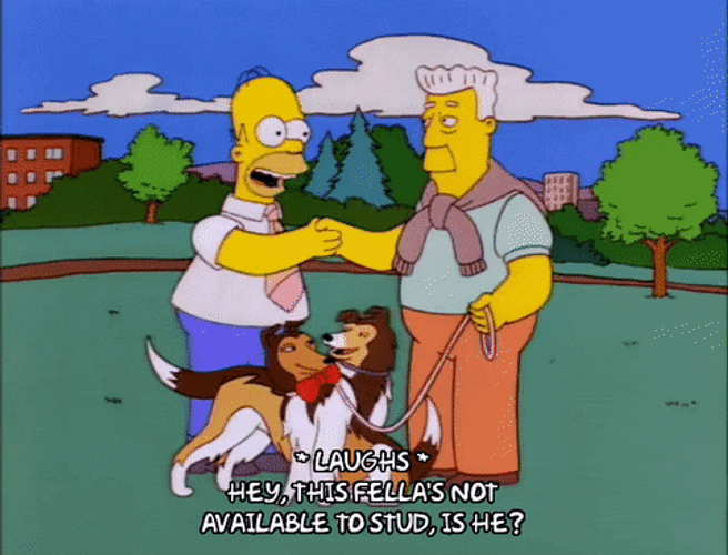 Homer Simpson With Stud Dog GIF