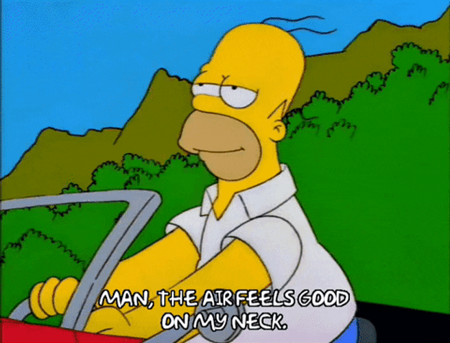 Homer Simpsons Hickey Love Bites GIF