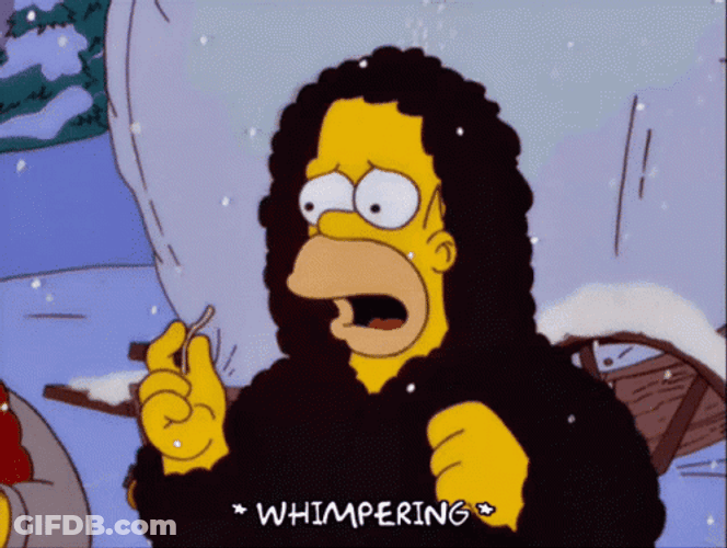 Homer Simpsons Whimpering Freezing GIF