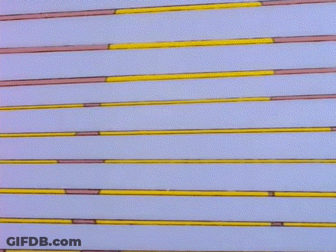 Homer Spy Through Blinds GIF