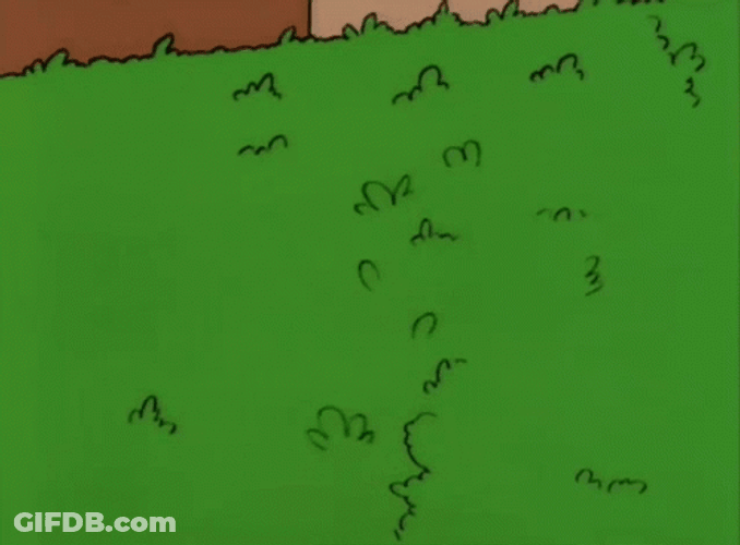 Homer Stops Hiding GIF