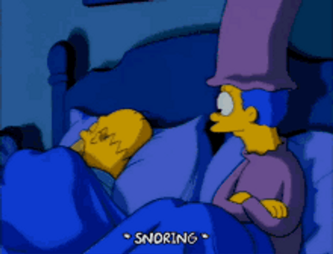 Homer The Simpsons Snoring GIF