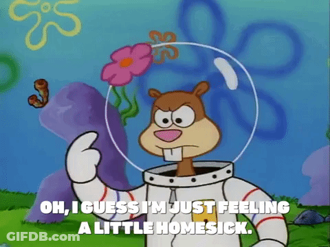 Homesick Sandy Cheeks GIF