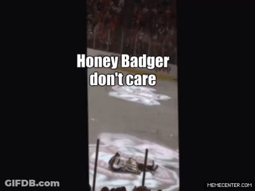 Honey Badger Swimming Saying Honey Badger Don't Care GIF