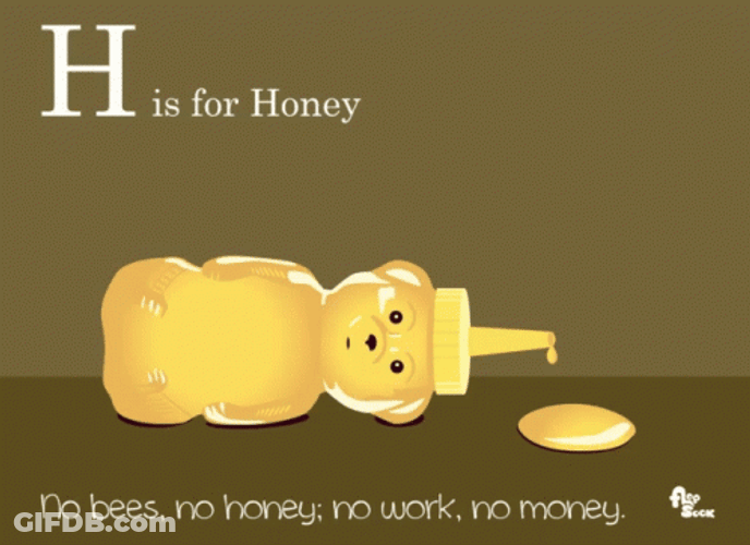 Honey Bee Meme GIF