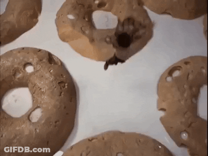 Honey I Shrunk The Kids Milk GIF