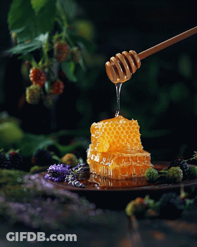 Honey Is Being Poured Into A Honeycomb With A Dipper GIF