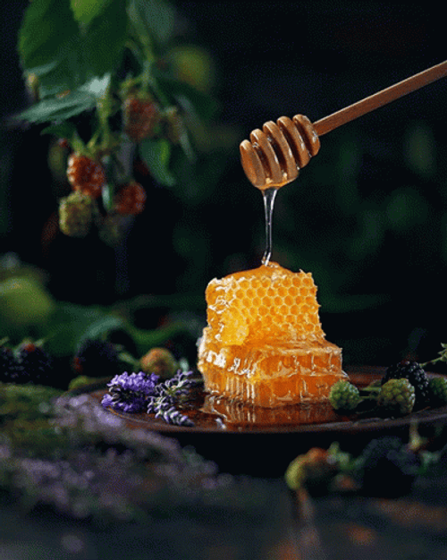 Honey On A Honeycomb Getting Scooped GIF