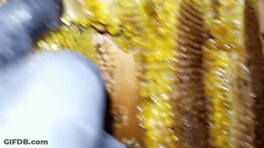 Honeycomb Press GIF