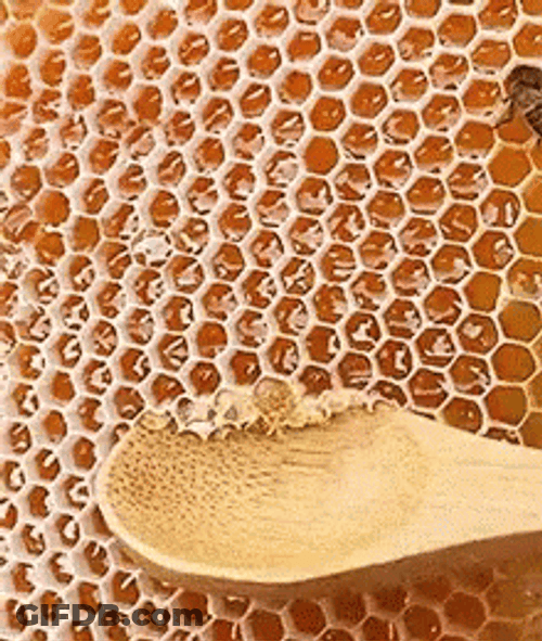 Honeycomb Scoop GIF