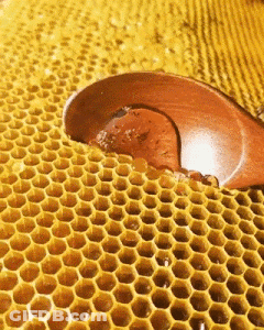 Honeycomb With Spoon GIF