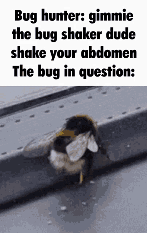 Hood Irony GIF