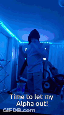 Hoodie Saying Time To Let My Alpha Out GIF