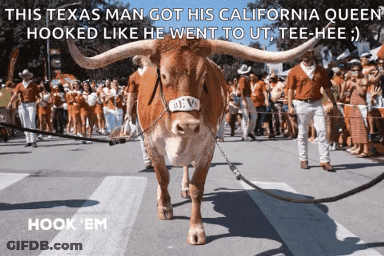 Hook Em Fans And Players Gameday GIF