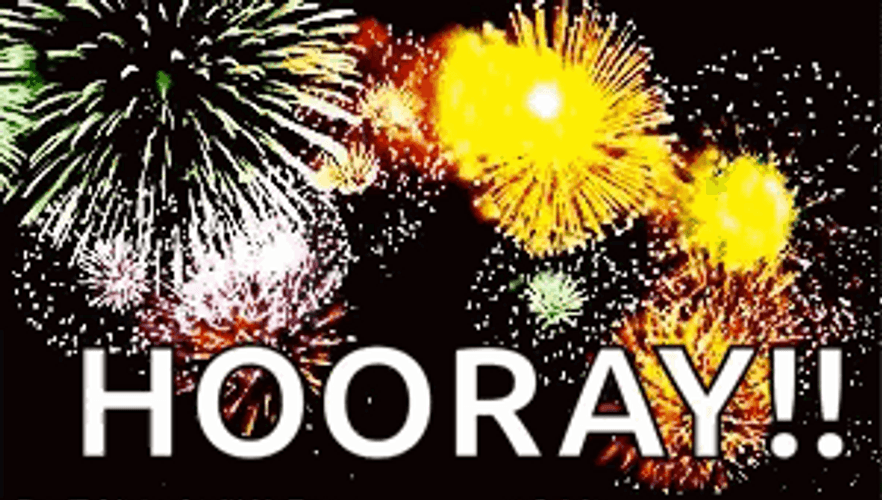 Hooray New Year Celebration Meme GIF