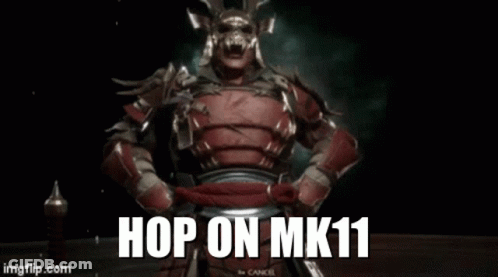 Hop On Mk11 GIF
