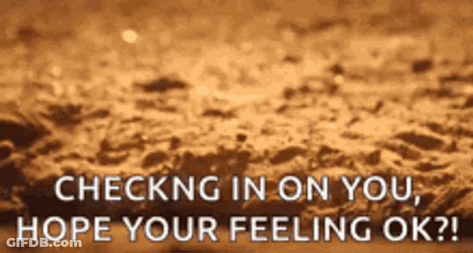 Hope You Feel Better Checking On You GIF