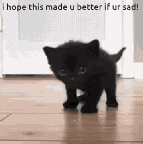 Hope You Feel Better If You're Sad Black GIF