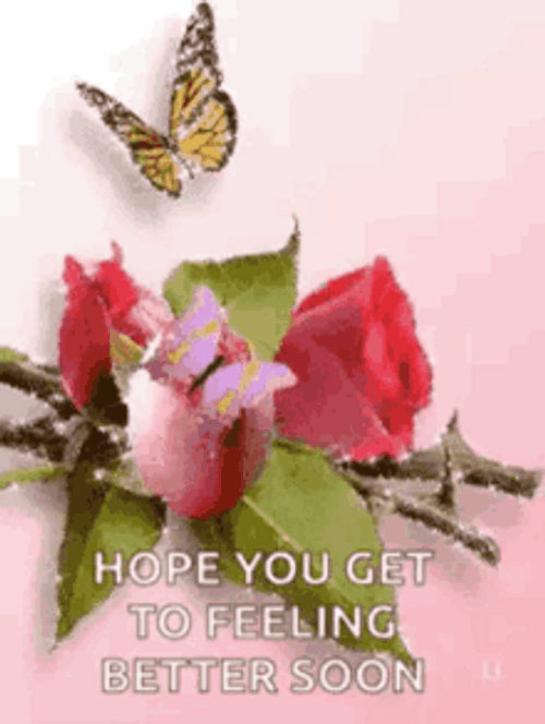 Hope You Feel Better Roses And Butterfly GIF