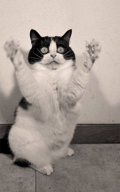 Hope You Feel Better Soon Come Here GIF