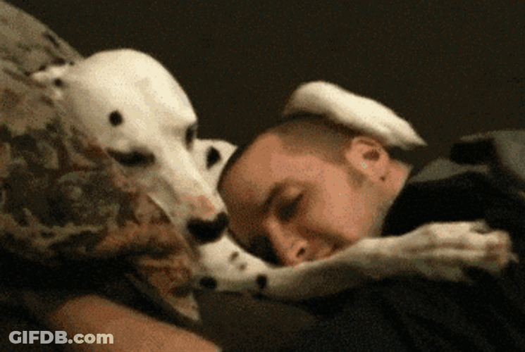Hope You Feel Better Soon Dog And Human GIF
