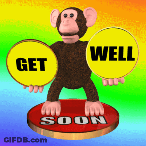 Hope You Feel Better Soon Monkey GIF