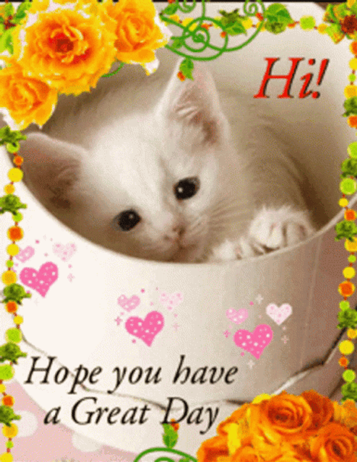 Hope You Have A Great Day GIF