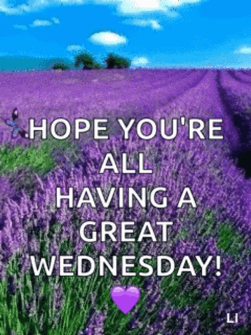 Hope You're Having A Beautiful Happy Wednesday GIF