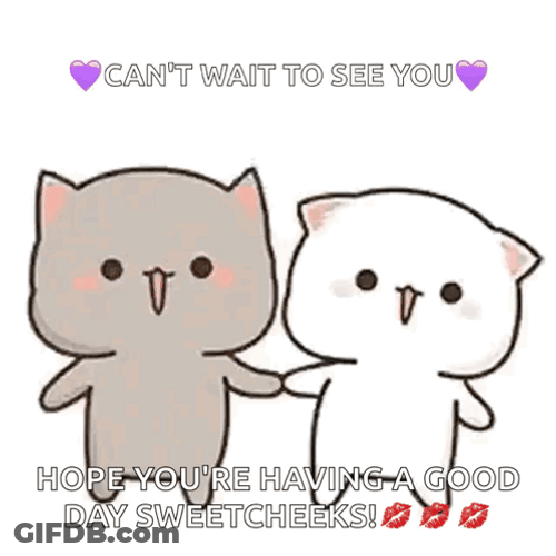 Hope You're Having A Good Day Cute Cat Kiss GIF