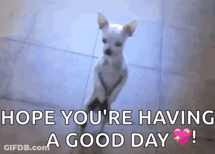 Hope You're Having A Good Day Funny Dancing Puppy GIF
