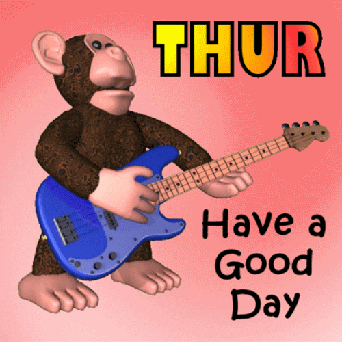 Hope You're Having A Good Day Monkey Playing Guitar GIF