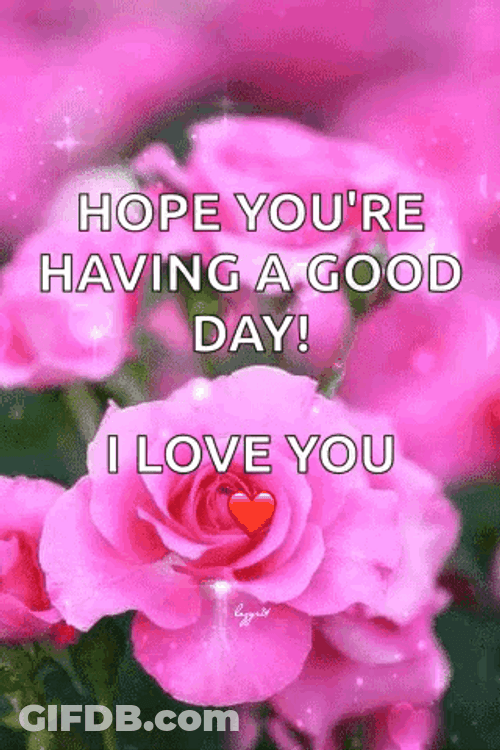 Hope You're Having A Good Day Sparkling Pink Rose GIF