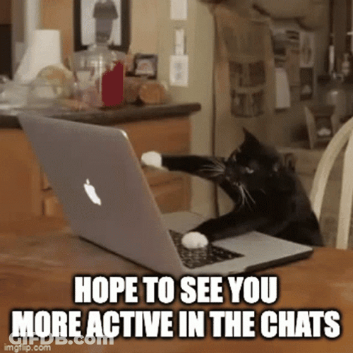 Hope Your Active In Chat GIF
