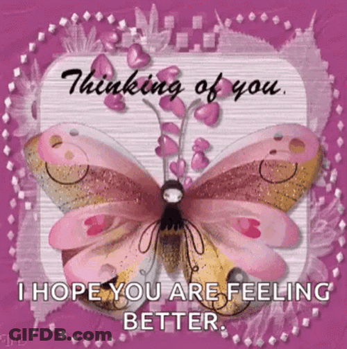 Hope Youre Feeling Better Sparkling Butterfly GIF