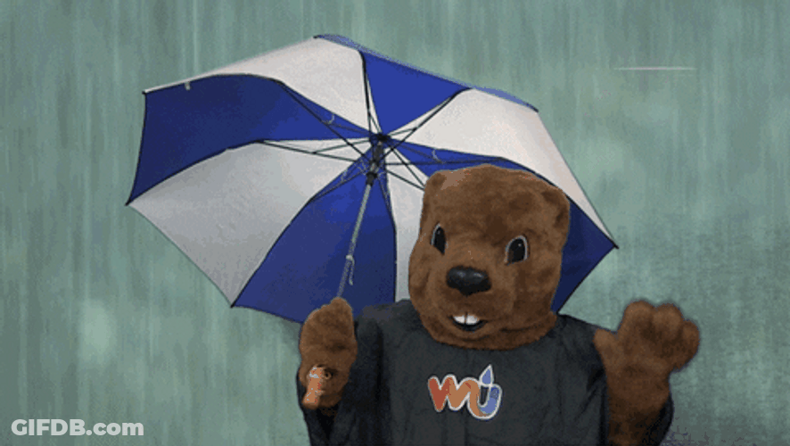 Hopeless Bear In Rain GIF