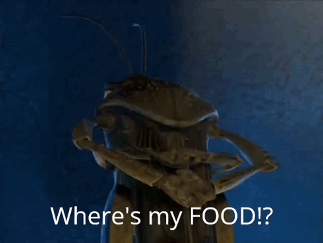 Hopper Bug Wheres My Food GIF