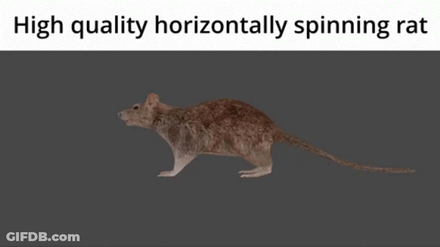 Horizontal Spinning 3D Rat GIF