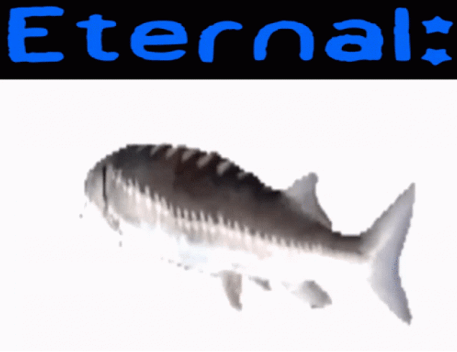 Horizontal Spinning Fish Eternal Mobile Design GIF