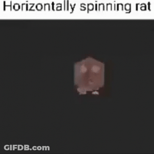 Horizontally Spinning Rat Meme GIF