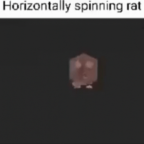 Horizontally Spinning Rat GIF