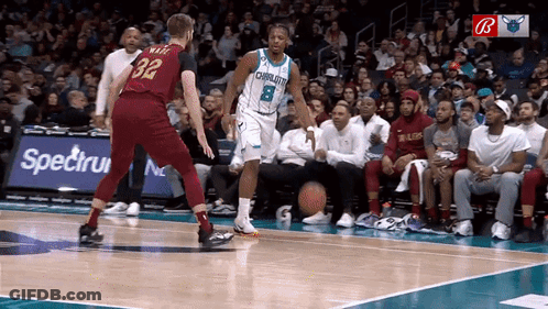 Hornets Player 8 Dribbling Basketball GIF