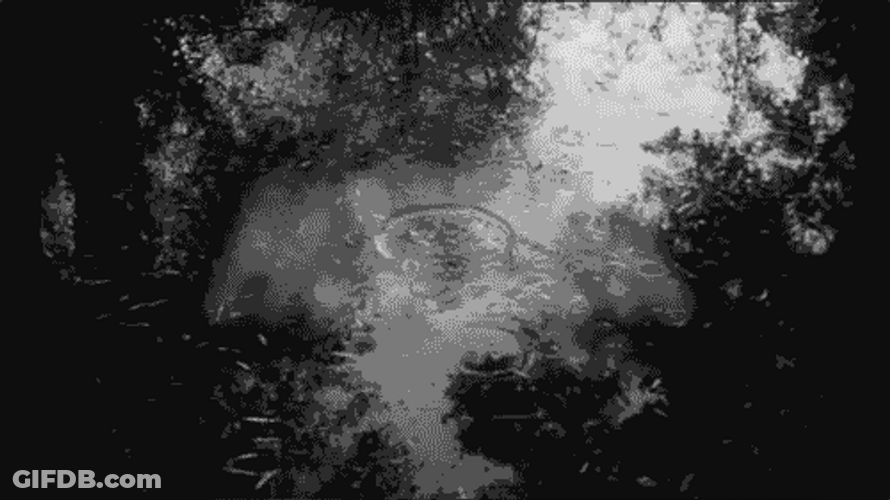 Horror Black Sunday GIF