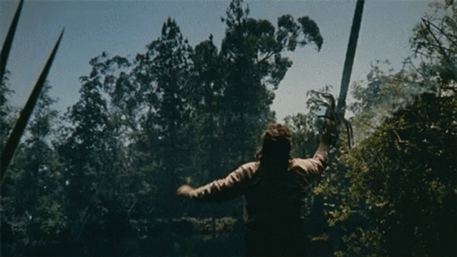Horror Serial Killer Leatherface GIF