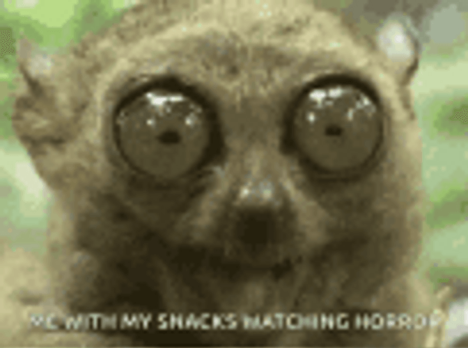 Horror Tarsier Wide Eyes GIF