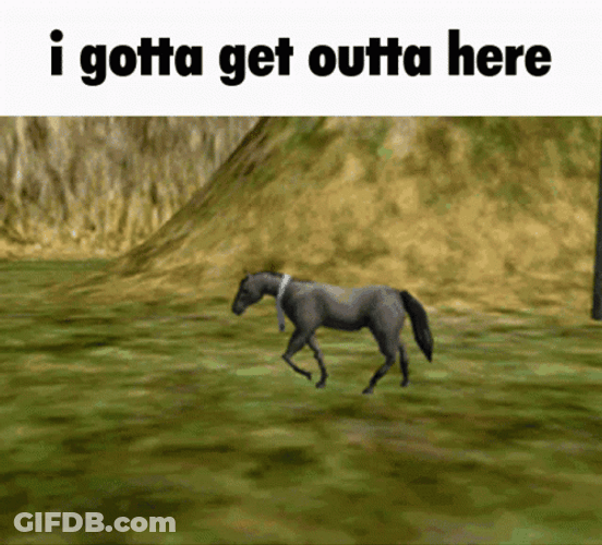 Horse Cannoned Just When I Thought I Was Out GIF