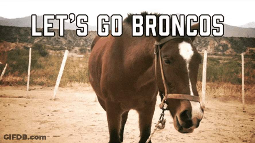 Horse Cheers Let's Go Broncos GIF